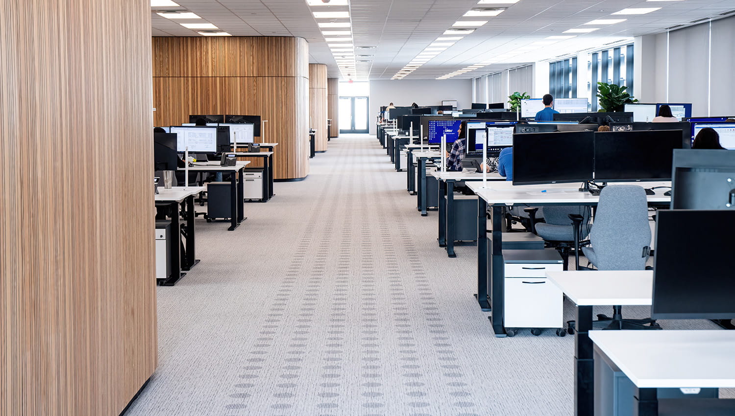 dsv dallas office